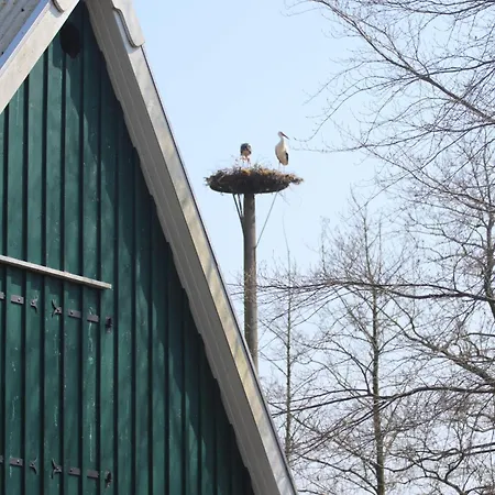 Erlenhof-steinau-fachwerkhaus-mit-reetdach Steinau (Cuxhaven)