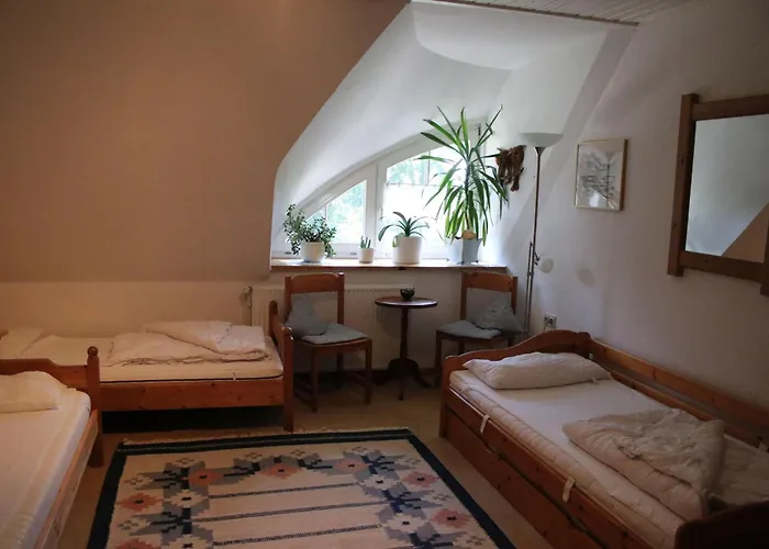Erlenhof-steinau-fachwerkhaus-mit-reetdach Dom wakacyjny *