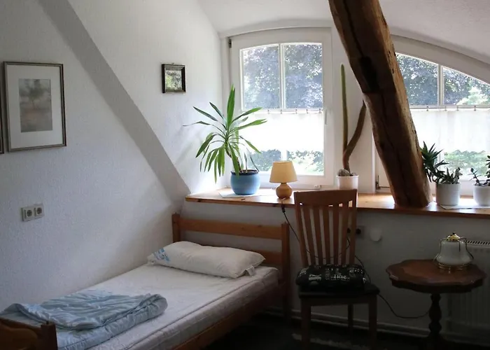 Erlenhof-steinau-fachwerkhaus-mit-reetdach Dom wakacyjny Steinau (Cuxhaven)