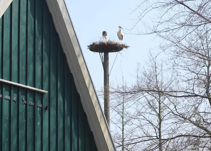 Erlenhof-steinau-fachwerkhaus-mit-reetdach Steinau (Cuxhaven)