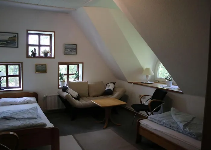 Dom wakacyjny Erlenhof-steinau-fachwerkhaus-mit-reetdach
