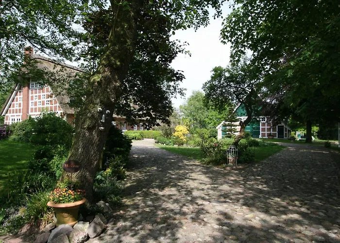 Erlenhof-steinau-fachwerkhaus-mit-reetdach Dom wakacyjny Steinau (Cuxhaven)