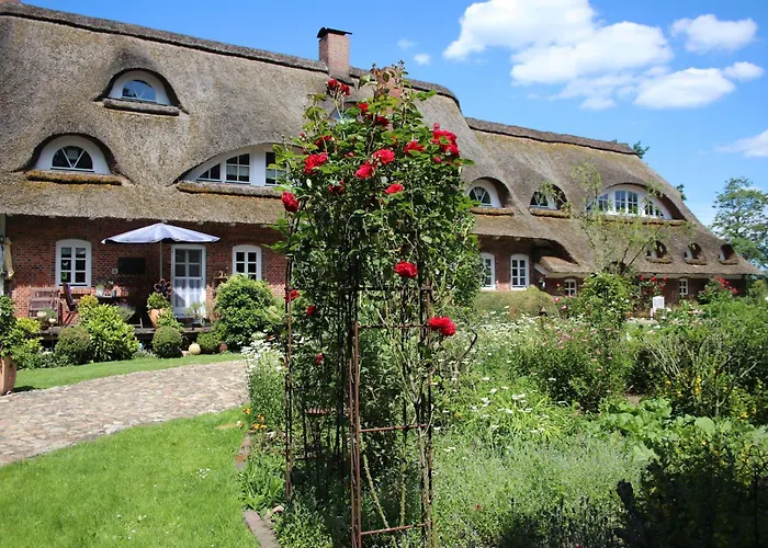 Erlenhof-steinau-fachwerkhaus-mit-reetdach *