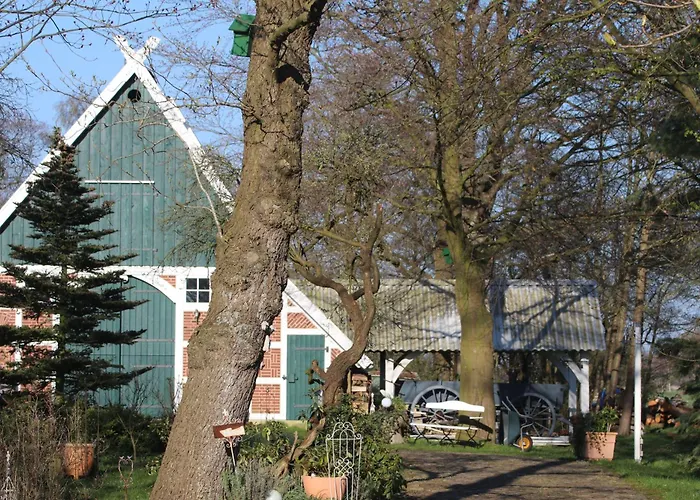 Dom wakacyjny Erlenhof-steinau-fachwerkhaus-mit-reetdach